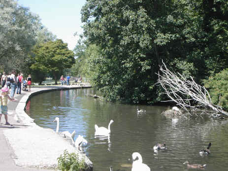 The riverside walk in the park next to the Cathedral and Abbey Church of St Alban, St Albans.