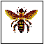Newport Wasps
